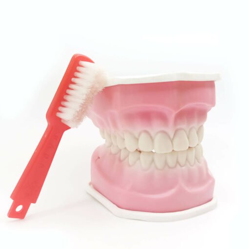Tooth-replica