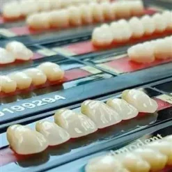 دندان مصنوعی پلی دنت | Polident