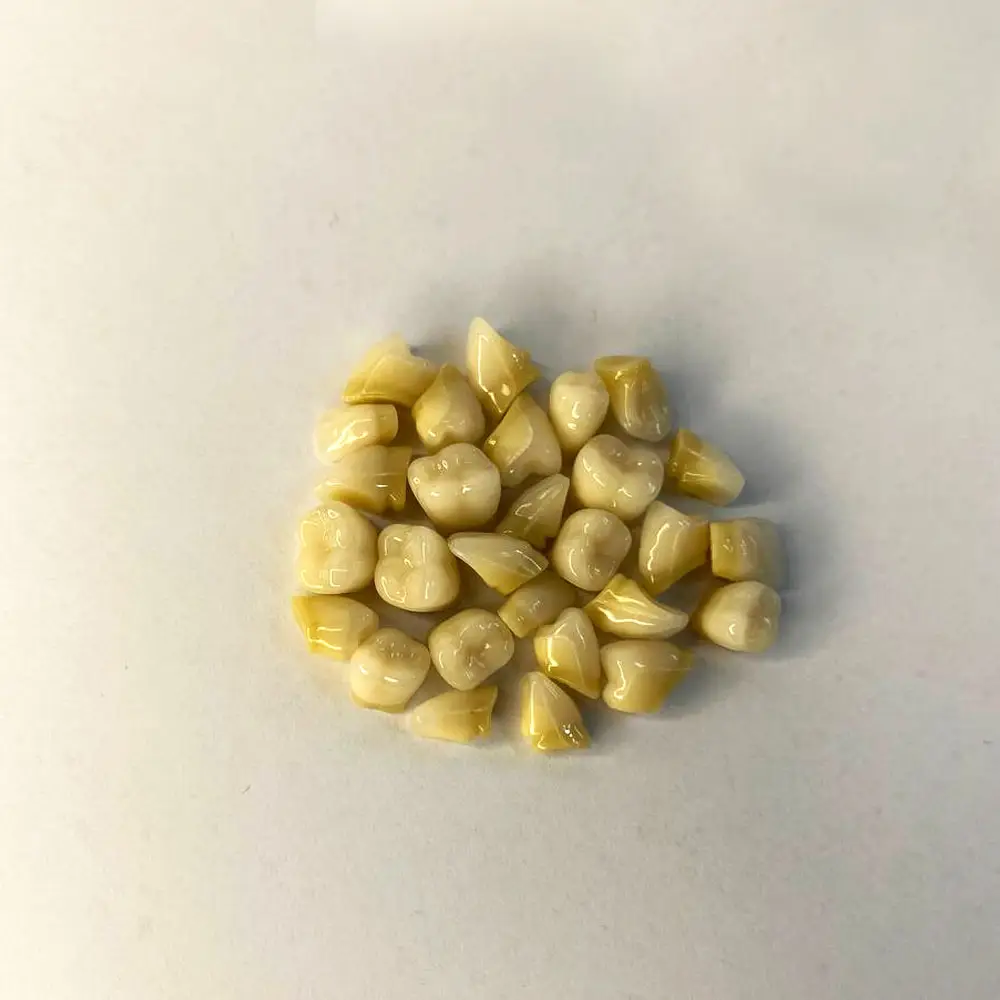 دندان مصنوعی پلی دنت دست و فله ای Polident