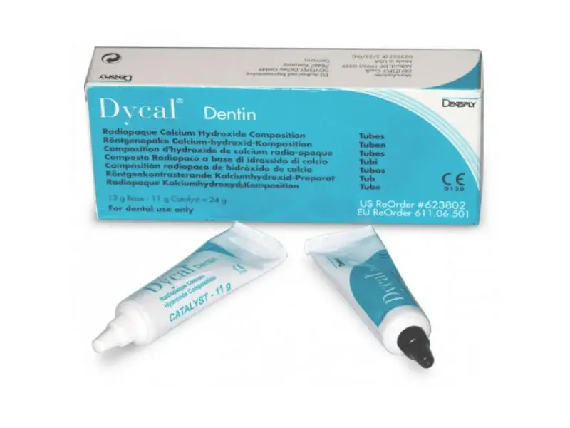 خرید و قیمت دایکال سلف دنسپلی Daycal Dentsply - Image 4